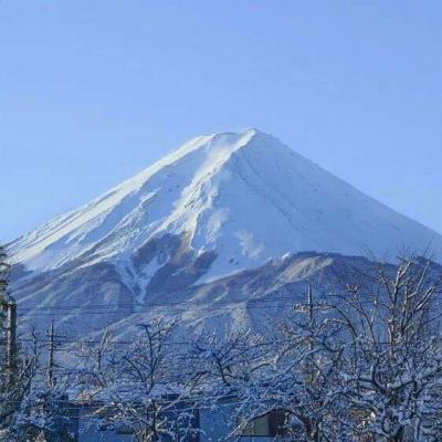 宝宝音乐启蒙游戏下载